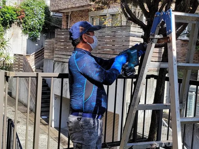 庭木の伐採・抜根サービスの画像