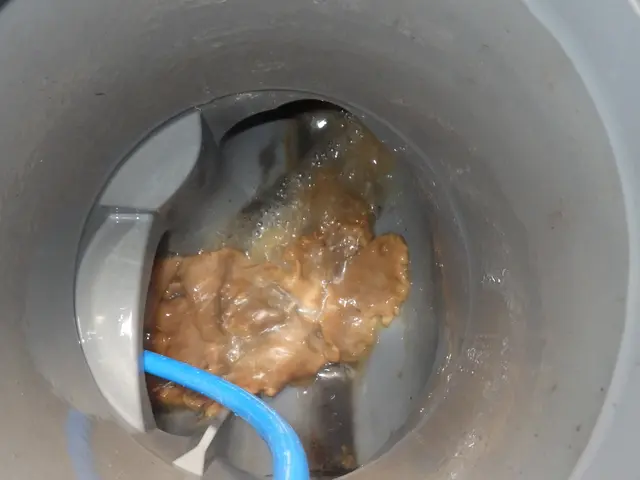 ☆業歴10年☆内視鏡は室内から入る所まで☆内視鏡+室内+外回り+オプション込☆サービスの画像