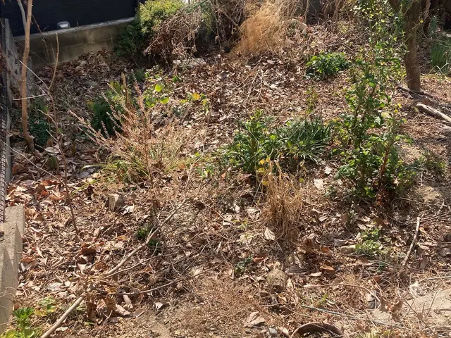 防草シートを貼ってスッキリ綺麗に☆サービスの画像