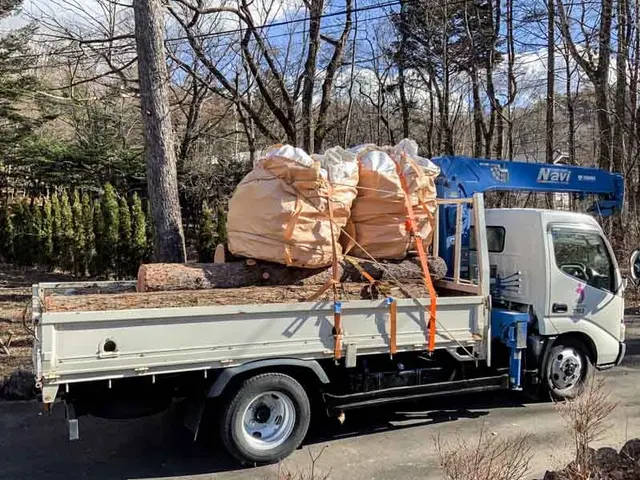 【特殊伐採】家や電線など大切なものの近くの木の伐採でお困りではありませんか？サービスの画像