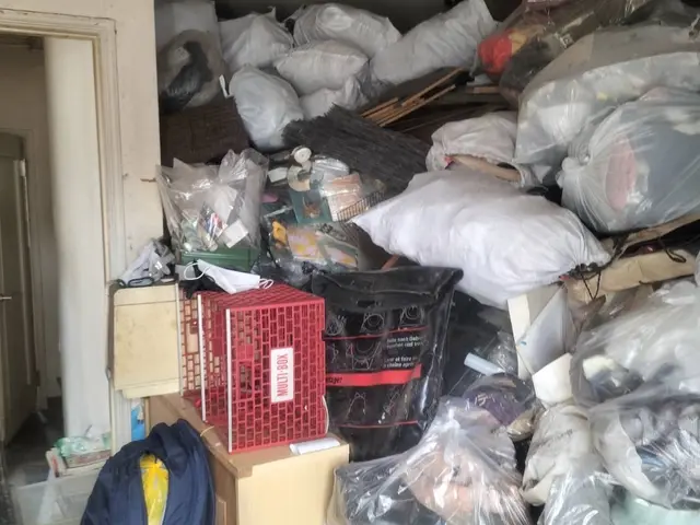 【懇切丁寧】作業員１名から２名　軽トラックで立川市から伺います！サービスの画像