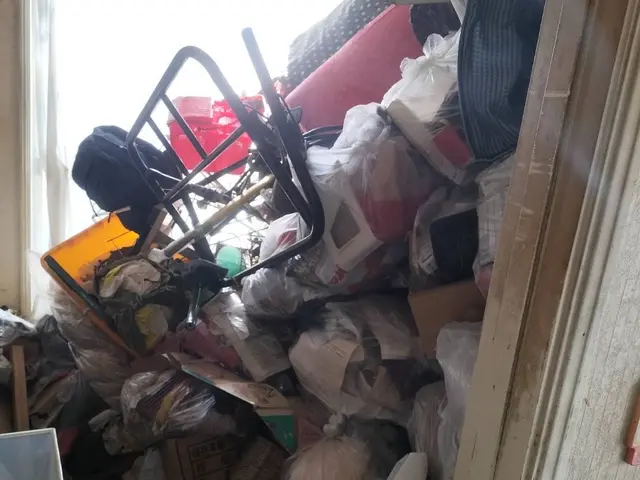 【懇切丁寧】作業員１名から２名　軽トラックで立川市から伺います！サービスの画像