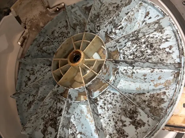 【浜松】完全分解で内部まで徹底洗浄！縦型洗濯槽クリーニング（自社施工）サービスの画像