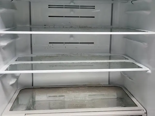 臭いも汚れも一掃！ピカピカ冷蔵庫で快適に。サービスの画像