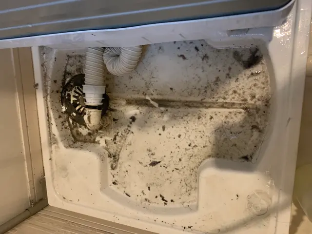 ★女性スタッフ同行可★大手仕込みのプロが直接訪問！保険加入済みで安心クリーニングサービスの画像