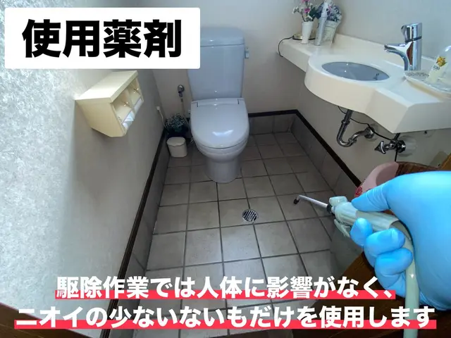 どこよりも徹底的な店舗施設特化のゴキブリ対策ができます！サービスの画像