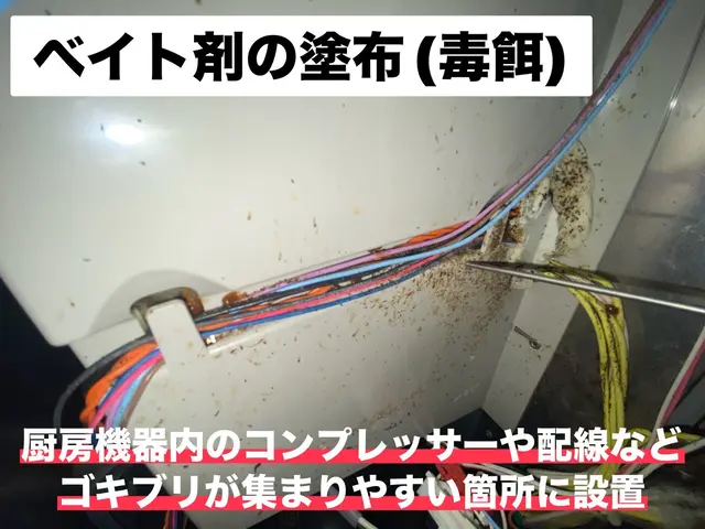 どこよりも徹底的な店舗施設特化のゴキブリ対策ができます！サービスの画像