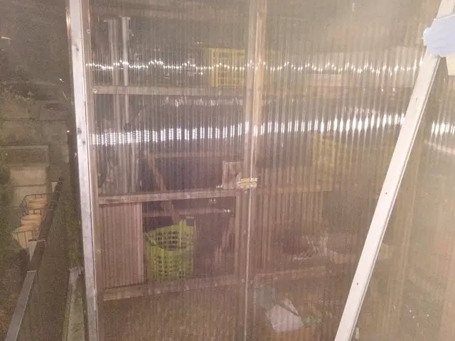 物置解体   エアコン外し回収込みの値段日程調整可能であればお値引！！サービスの画像