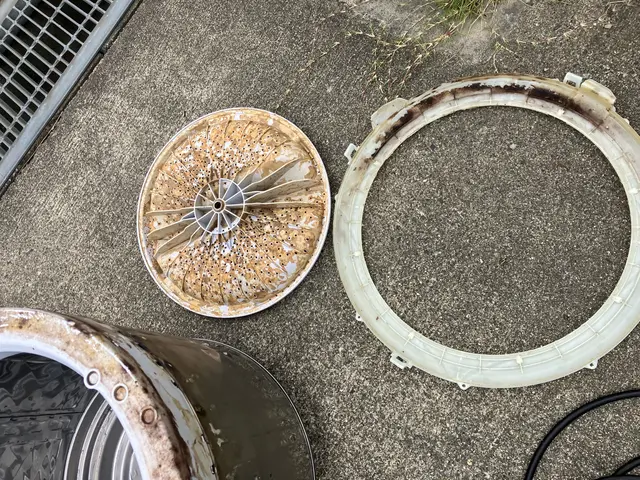 洗濯槽 分解クリーニングサービスの画像