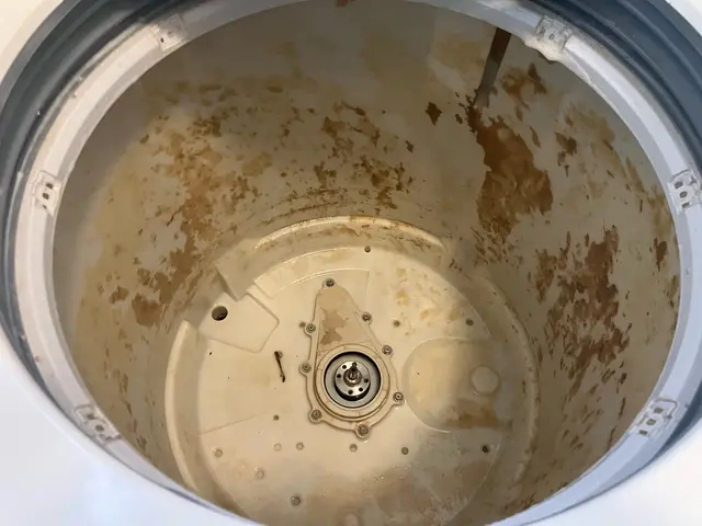 洗濯槽 分解クリーニングサービスの画像