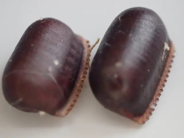 【注目( • ̀ω•́ )っ】国家資格保有プロが行う最強の「ゴキブリ駆除」サービスの画像