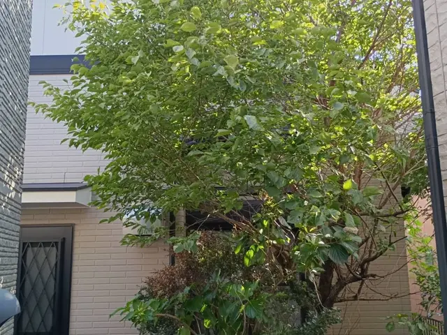 プロの技術でご満足いただけるように心を込めて作業いたしますサービスの画像