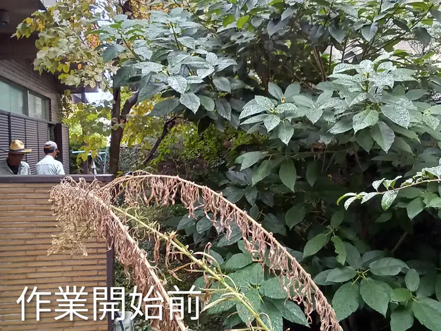 【安心の法人店舗】◉損害保険加入店◉地域密着のホスピタリティーが自慢です！サービスの画像