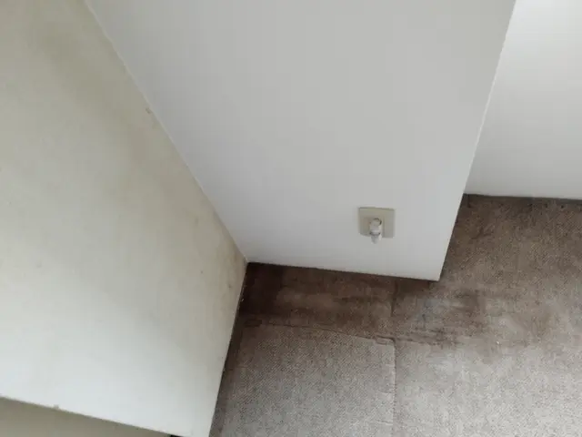 新規出店　大手での作業経験が有るスタッフが対応させて頂いております。サービスの画像