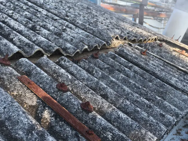 塗装歴50年以上◆自信の完全自社施工！伝統の技術でお客様の建物をお守りします。サービスの画像