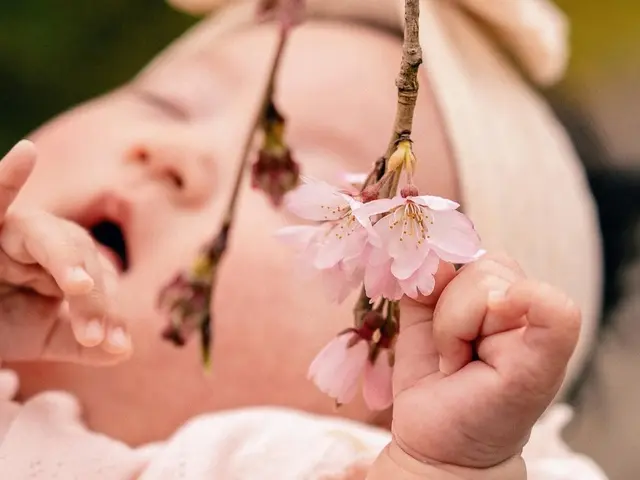 【新規出展キャンペーン4/1〜4/24】SDカードをその日のうちにお渡しOK★