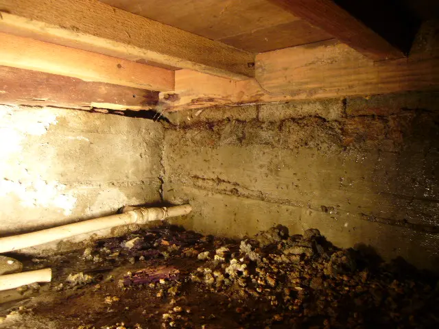 シロアリ駆除はおまかせ！経験２５年のベテランのシロアリ防除施工士が施工します！サービスの画像