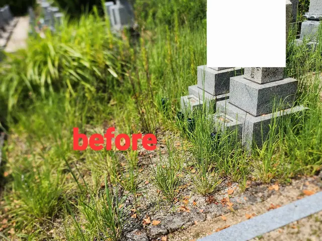 御先祖様へ気持ちを込めてお参りさせていただきます。サービスの画像