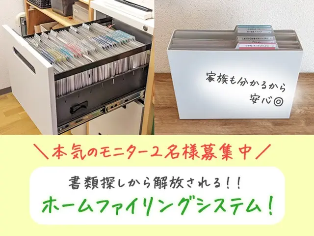 【書類モニター募集】ミニマル思考の整理収納アドバイザーが暮らしのストレスを解決♪サービスの画像