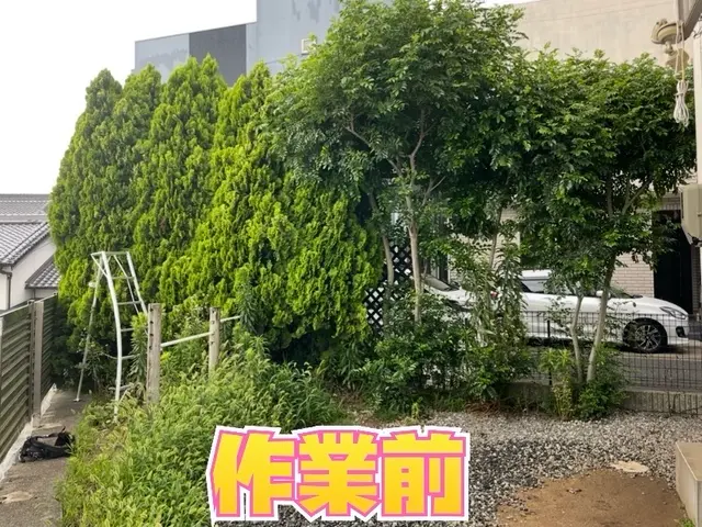 ☆２０２６年２月オープン☆ 造園一筋15年以上！庭木1本からでも喜んで伺います！サービスの画像