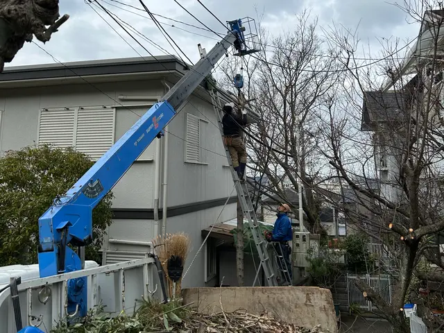 【2級造園技能士】庭師一筋15年以上！庭木1本からでも喜んで伺います☆サービスの画像