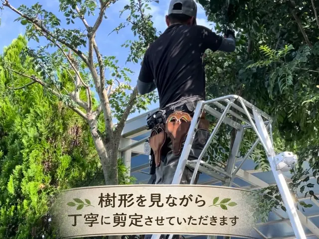 ☆２０２６年２月オープン☆ 造園一筋15年以上！庭木1本からでも喜んで伺います！サービスの画像