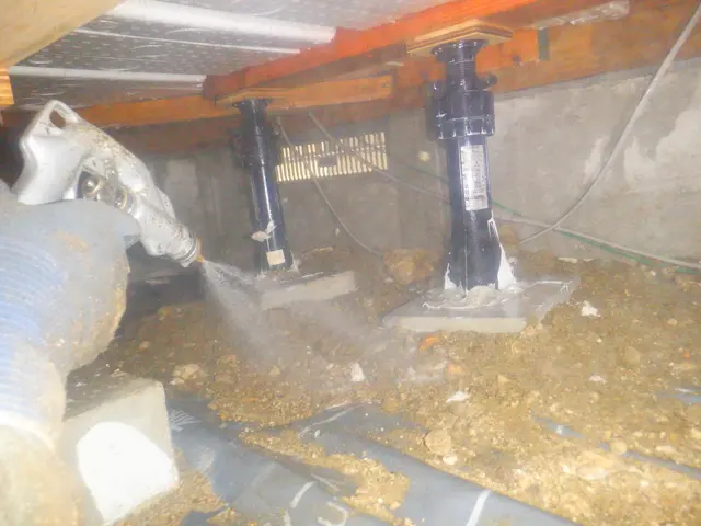 新規出店◇白蟻対策協会会員◎白蟻防除士3名◎協会認定薬剤を使用した完全自社対応サービスの画像