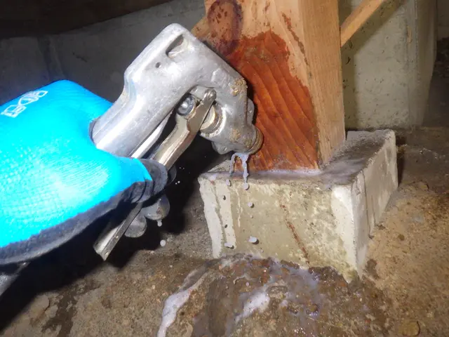 新規出店◇白蟻対策協会会員◎白蟻防除士3名◎協会認定薬剤を使用した完全自社対応サービスの画像