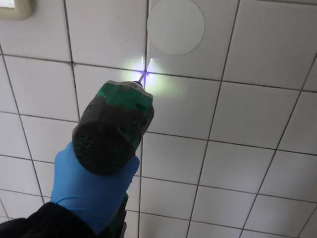 新規出店◇白蟻対策協会会員◎白蟻防除士3名◎協会認定薬剤を使用した完全自社対応サービスの画像