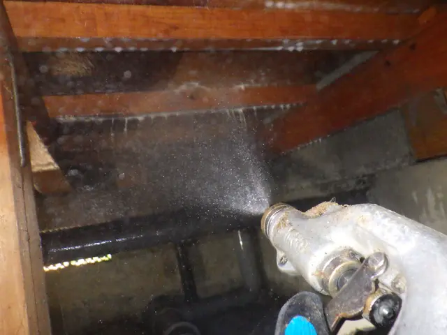 新規出店◇白蟻対策協会会員◎白蟻防除士3名◎協会認定薬剤を使用した完全自社対応サービスの画像