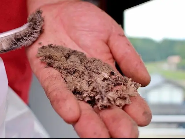 【営業時間外相談可】3年経験の壁掛けエアコンクリーニング！作業外注は一切なし◎サービスの画像