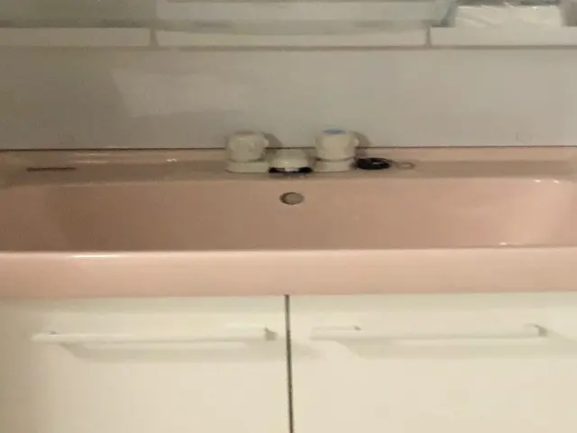 洗面化粧台蛇口交換サービスの画像