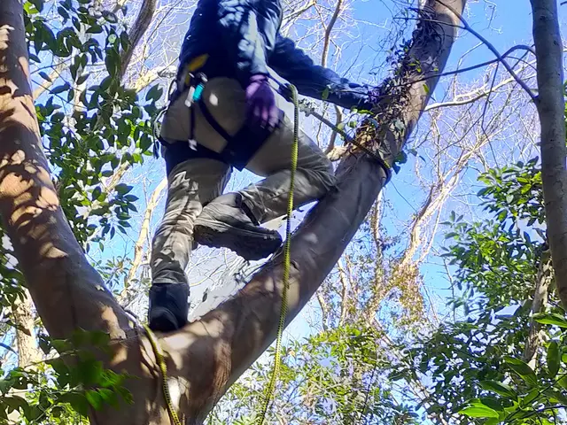 ★風通しの良い爽やかなお庭に★   4月後半～6月中までのご予約を受付中です。サービスの画像