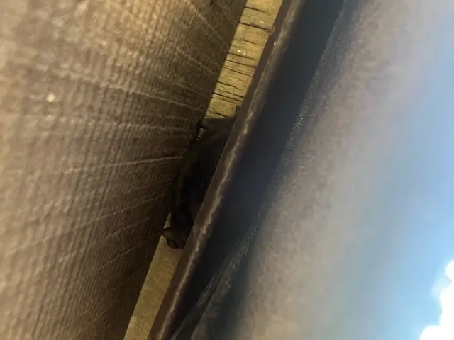 大手実績あり！迅速・丁寧な対応で安心を提供する専門家☆サービスの画像