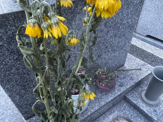 お墓参り代行【春のお彼岸: 3月18日水～24日火】▼お供え物交通費、全て込み▼サービスの画像