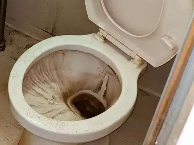 【人気のトイレクリーニング】気になる汚れ徹底除去\\2箇所で2万円//即返信！サービスの画像