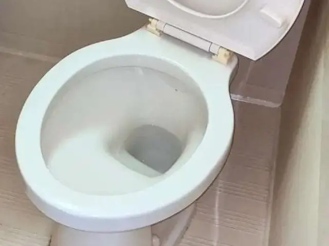 【人気のトイレクリーニング】気になる汚れ徹底除去\\2箇所で2万円//即返信！サービスの画像