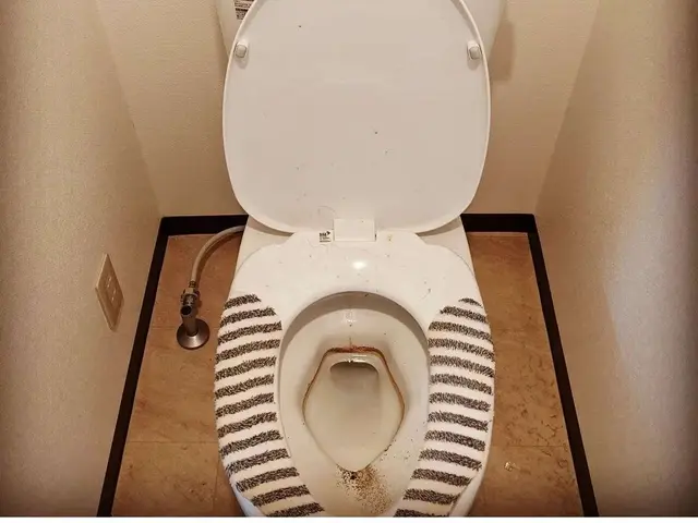 【人気のトイレクリーニング】気になる汚れ徹底除去\\2箇所で2万円//即返信！サービスの画像