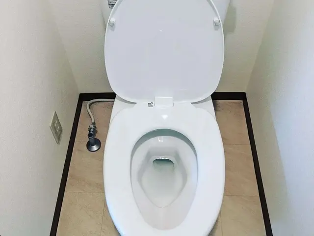 【人気のトイレクリーニング】気になる汚れ徹底除去\\2箇所で2万円//即返信！サービスの画像