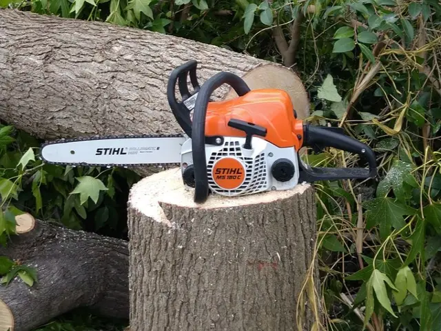 伐採・抜根お任せください。。料金表はあくまで目安です。複数であれば値引します。サービスの画像