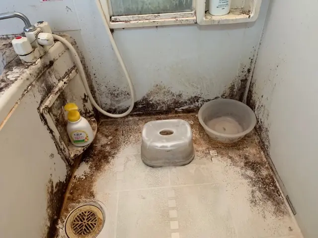 市販洗剤では落とせないカビ、水垢を根こそぎ除去します！他社には無い技術力！！サービスの画像