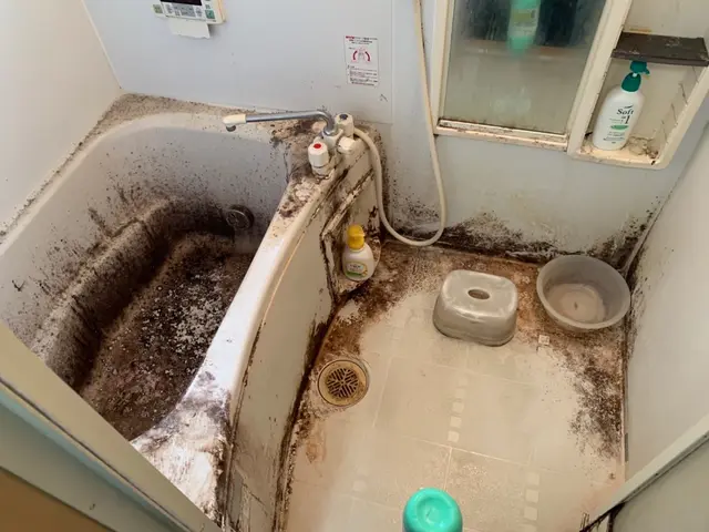 市販洗剤では落とせないカビ、水垢を根こそぎ除去します！他社には無い技術力！！サービスの画像