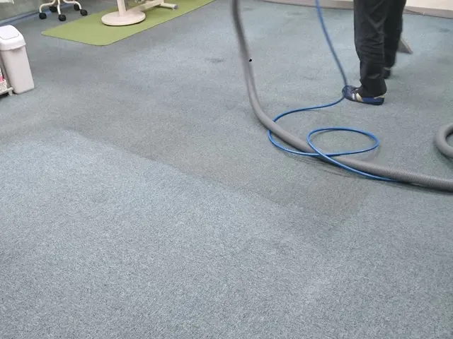 4/30予約可（土日）も可！カーペットをお掃除。ハウスクリーニング専業３０年、サービスの画像