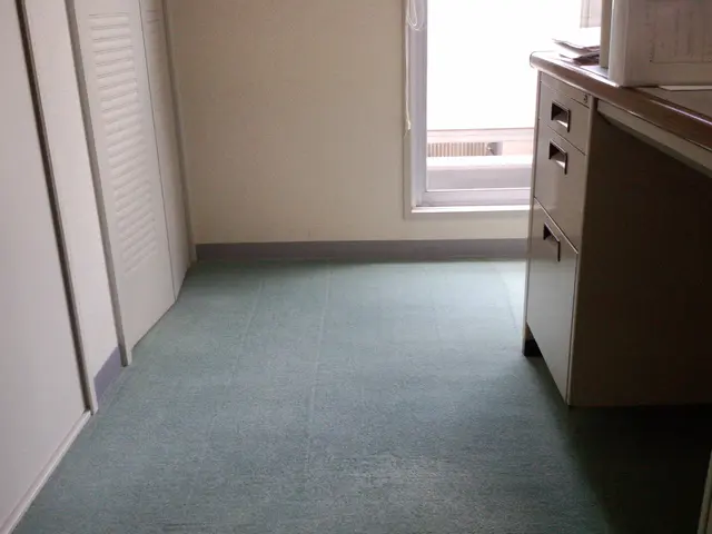 4/30予約可（土日）も可！カーペットをお掃除。ハウスクリーニング専業３０年、サービスの画像