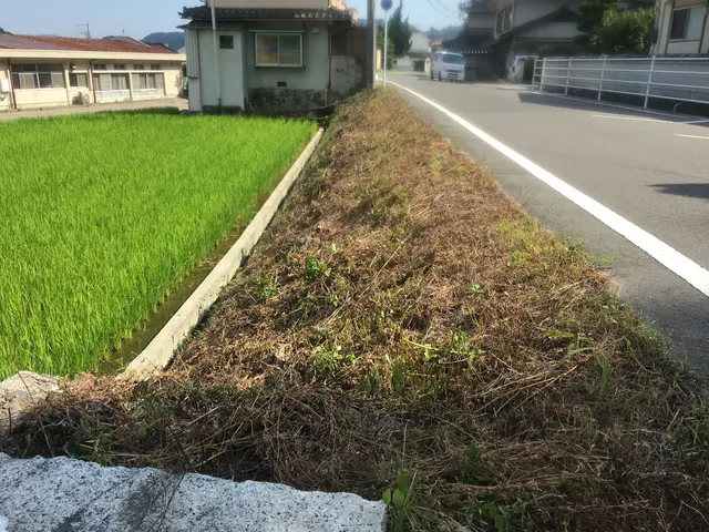 造園のプロが伺います！豊富な経験と知識で安心◎お庭のお悩み解消！サービスの画像