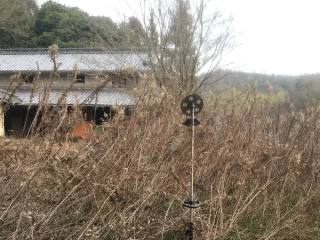 造園のプロが伺います！豊富な経験と知識で安心◎お庭のお悩み解消！サービスの画像