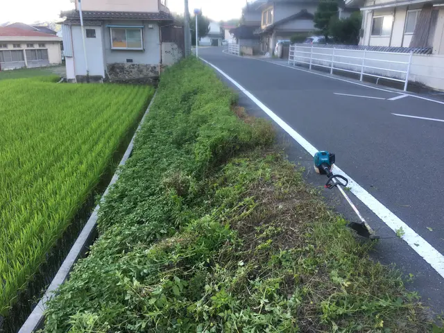 造園のプロが伺います！豊富な経験と知識で安心◎お庭のお悩み解消！サービスの画像