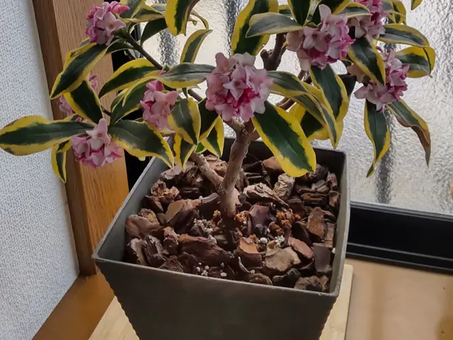 ～継続して選ばれる仕事をご提供～　★初めてのご依頼はお問合せからが簡単ですサービスの画像