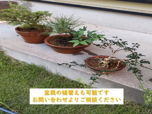 ～継続して選ばれる仕事をご提供～　★初めてのご依頼はお問合せからが簡単ですサービスの画像