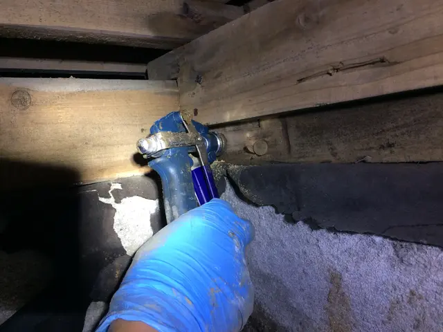 シロアリ駆除、予防施工サービスの画像